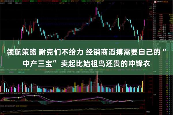 领航策略 耐克们不给力 经销商滔搏需要自己的“中产三宝” 卖起比始祖鸟还贵的冲锋衣