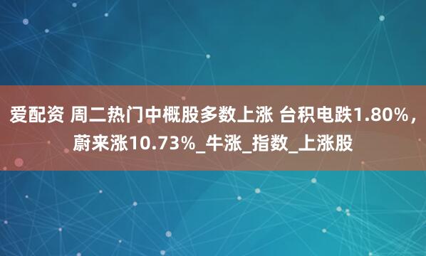 爱配资 周二热门中概股多数上涨 台积电跌1.80%，蔚来涨10.73%_牛涨_指数_上涨股