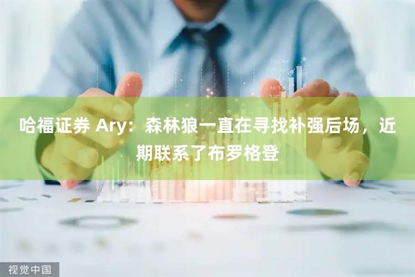 哈福证券 Ary：森林狼一直在寻找补强后场，近期联系了布罗格登